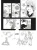 003.webp