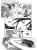 005.webp