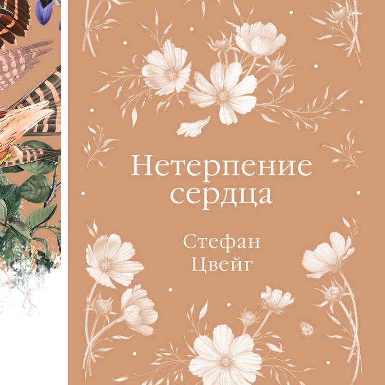 Нетерпение сердца