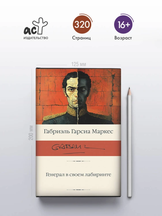 Генерал в своем лабиринте