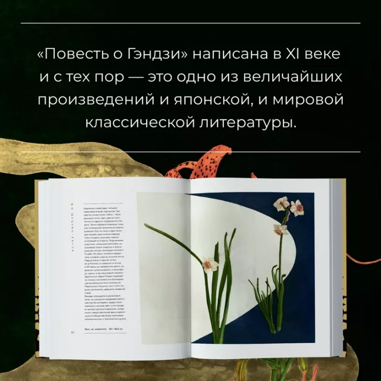 6.webp