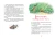 004.webp