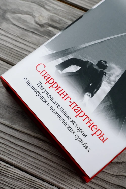Спарринг-партнеры