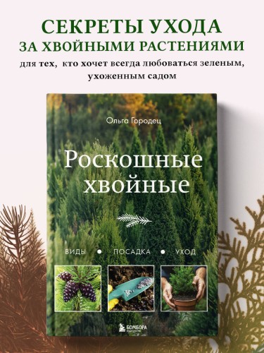 Роскошные хвойные. Виды, посадка, уход