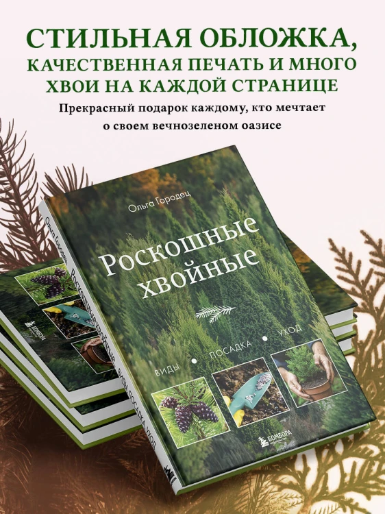 Роскошные хвойные. Виды, посадка, уход