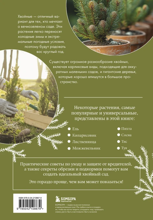 Роскошные хвойные. Виды, посадка, уход