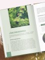 Роскошные хвойные. Виды, посадка, уход