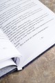 Поднятие уровня в одиночку. Solo Leveling. Книга 5