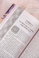 Избранный светом. Песни хищных птиц