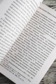 Александр Сергеевич Пушкин: биография писателя