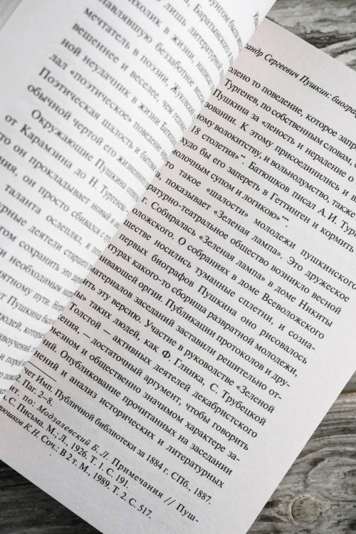 Александр Сергеевич Пушкин: биография писателя