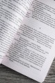 Под Куполом. Падают розовые звезды
