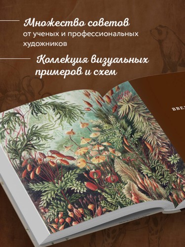 Профессия — Научный иллюстратор. Руководство по иллюстрации в биологии, археологии и палеоарте
