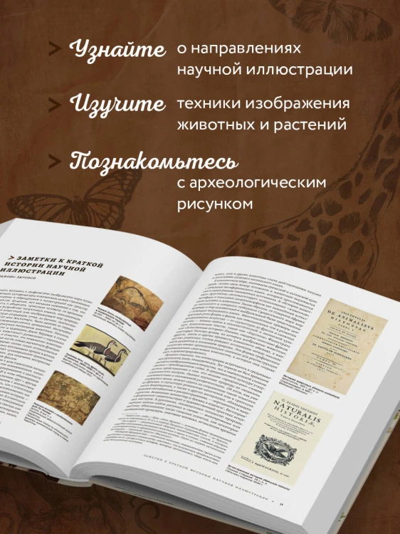Профессия — Научный иллюстратор. Руководство по иллюстрации в биологии, археологии и палеоарте