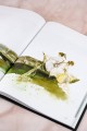 Костяная птица и ночные цветы. Иллюстрации Eno.