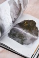 Костяная птица и ночные цветы. Иллюстрации Eno.
