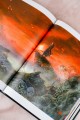 Костяная птица и ночные цветы. Иллюстрации Eno.