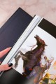 Костяная птица и ночные цветы. Иллюстрации Eno.