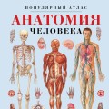 Анатомия человека. Популярный атлас. Самые подробные анатомические изображения