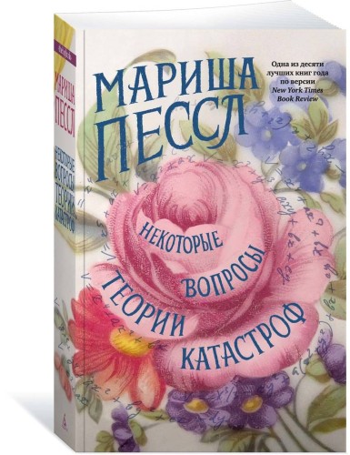 Некоторые вопросы теории катастроф