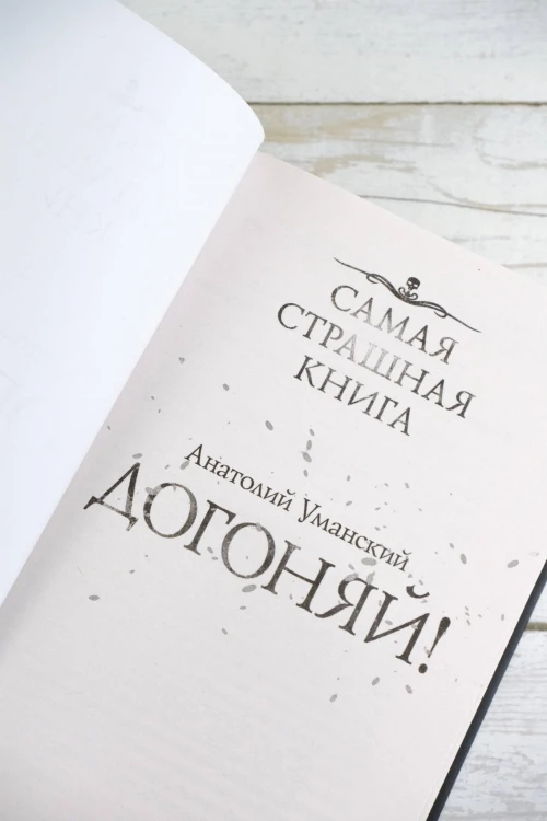 Самая страшная книга. Догоняй!