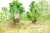6.webp
