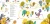5.webp