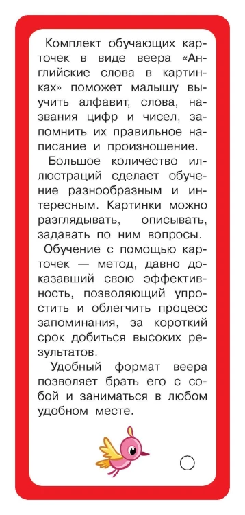 Английские слова в картинках