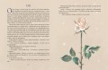 Маленький принц (ил. Н. Гольц)