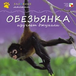 Обезьянка изучает джунгли. Забавные малыши