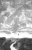 003.webp