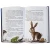 005.webp