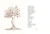 002.webp