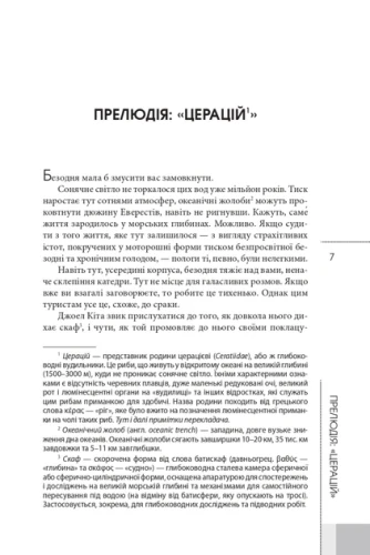 002.webp