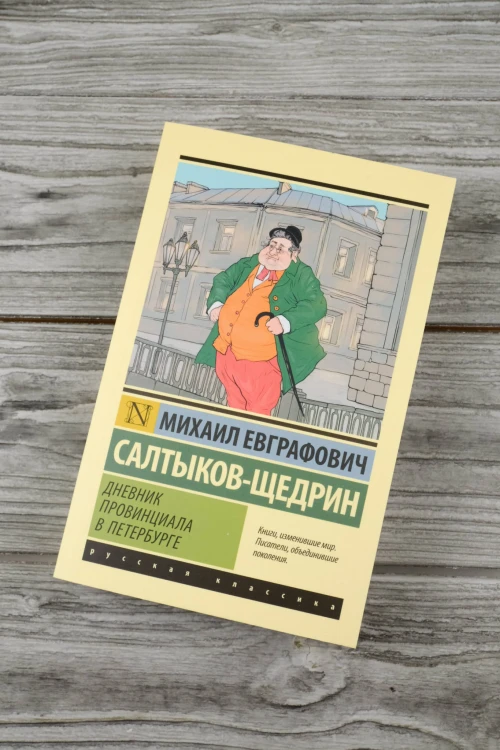 Дневник провинциала в Петербурге