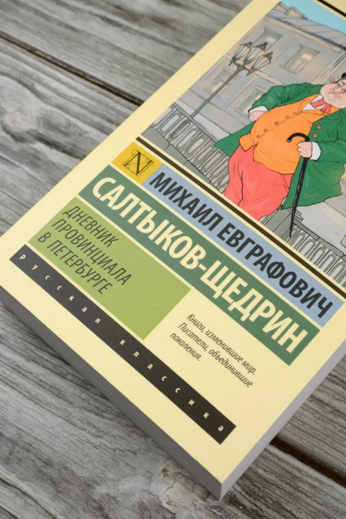 Дневник провинциала в Петербурге