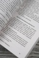 Дневник провинциала в Петербурге