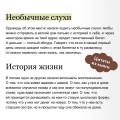 Волшебный магазин токкэби