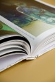 Pone. Иллюстрации Поски Дэмидзу
