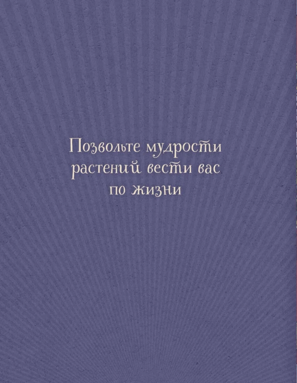 Магический гербарий. 36 карт с посланиями от волшебных растений (Оракул. 36 карт и руководство в коробке)