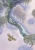 6.webp