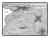 002.webp