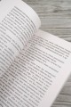 Призрак Александра Вольфа. Возвращение Будды