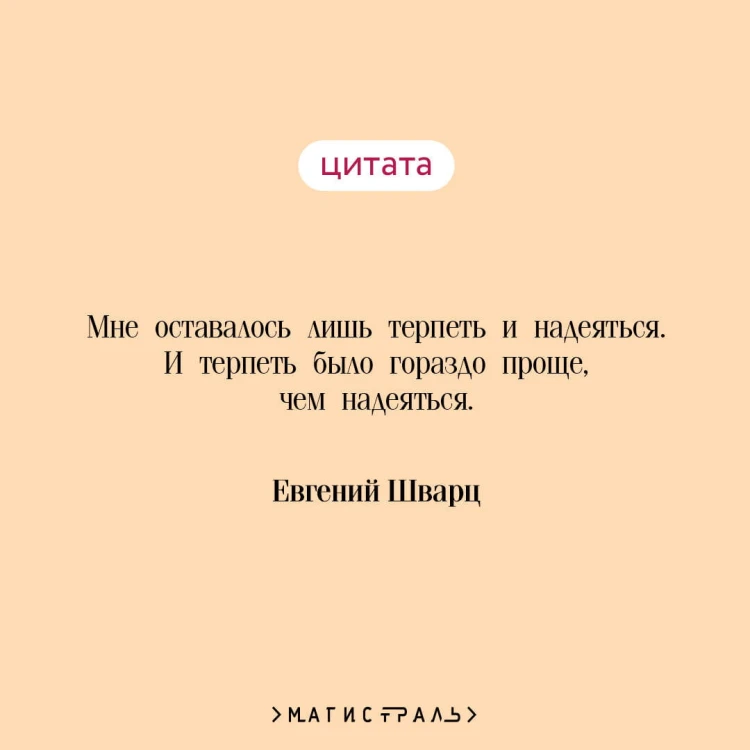 Сокровище Семи Звезд