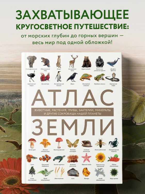 Атлас Земли. Животные, растения, грибы, бактерии, минералы и другие сокровища нашей планеты