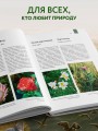 Атлас Земли. Животные, растения, грибы, бактерии, минералы и другие сокровища нашей планеты