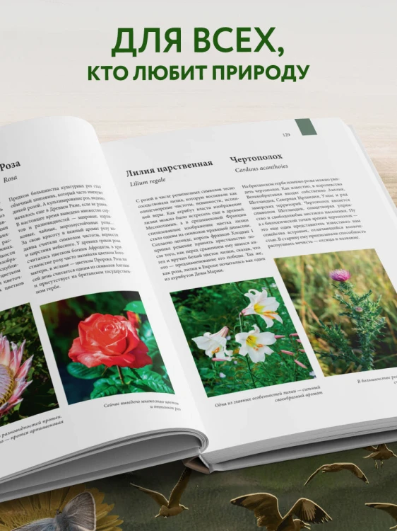Атлас Земли. Животные, растения, грибы, бактерии, минералы и другие сокровища нашей планеты