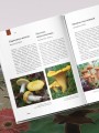 Атлас Земли. Животные, растения, грибы, бактерии, минералы и другие сокровища нашей планеты