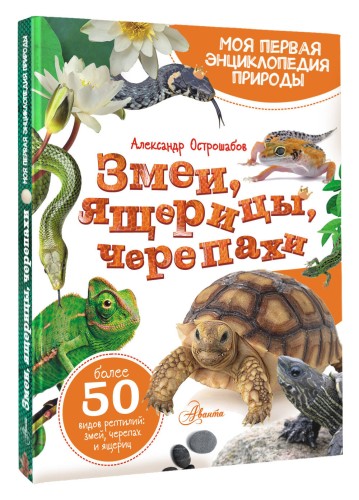 Змеи, ящерицы, черепахи