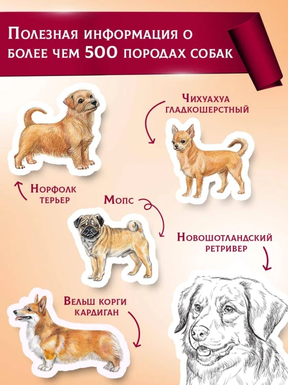Породы собак Энциклопедия (первая обложка с борзой)